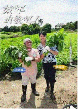 综艺花房深夜素材室横版剧照